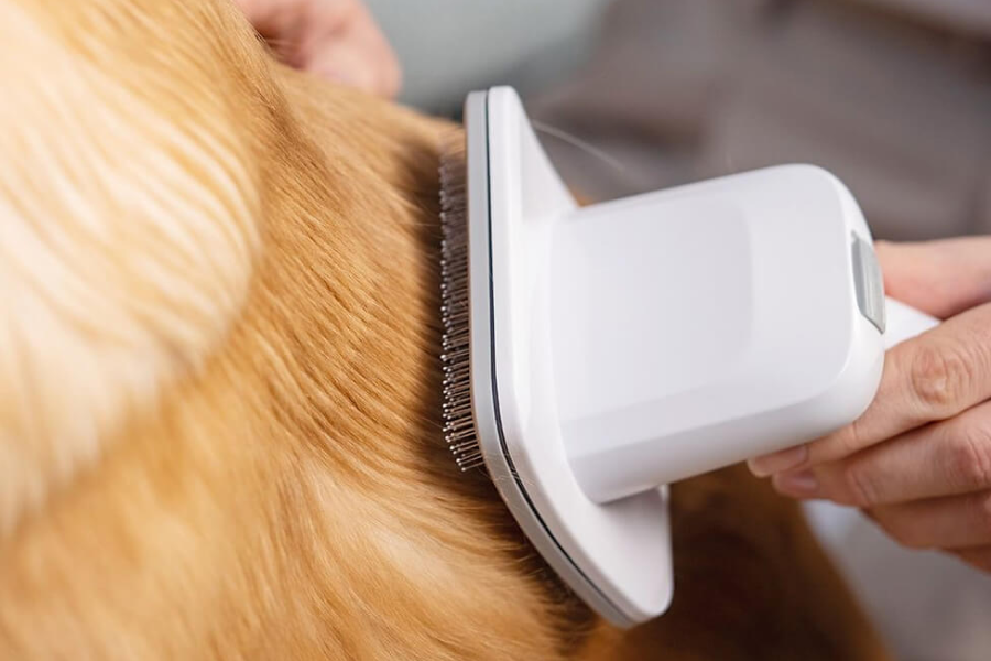 Dog hair vacuum for home