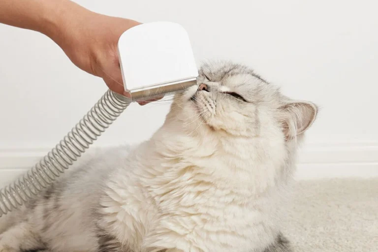 Home pet hair removal solution