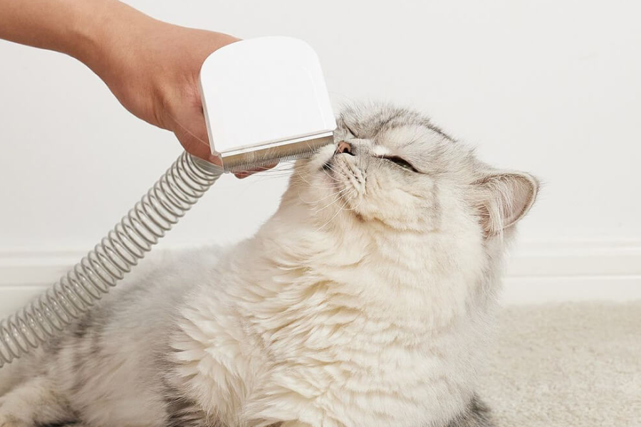 Home pet hair removal solution